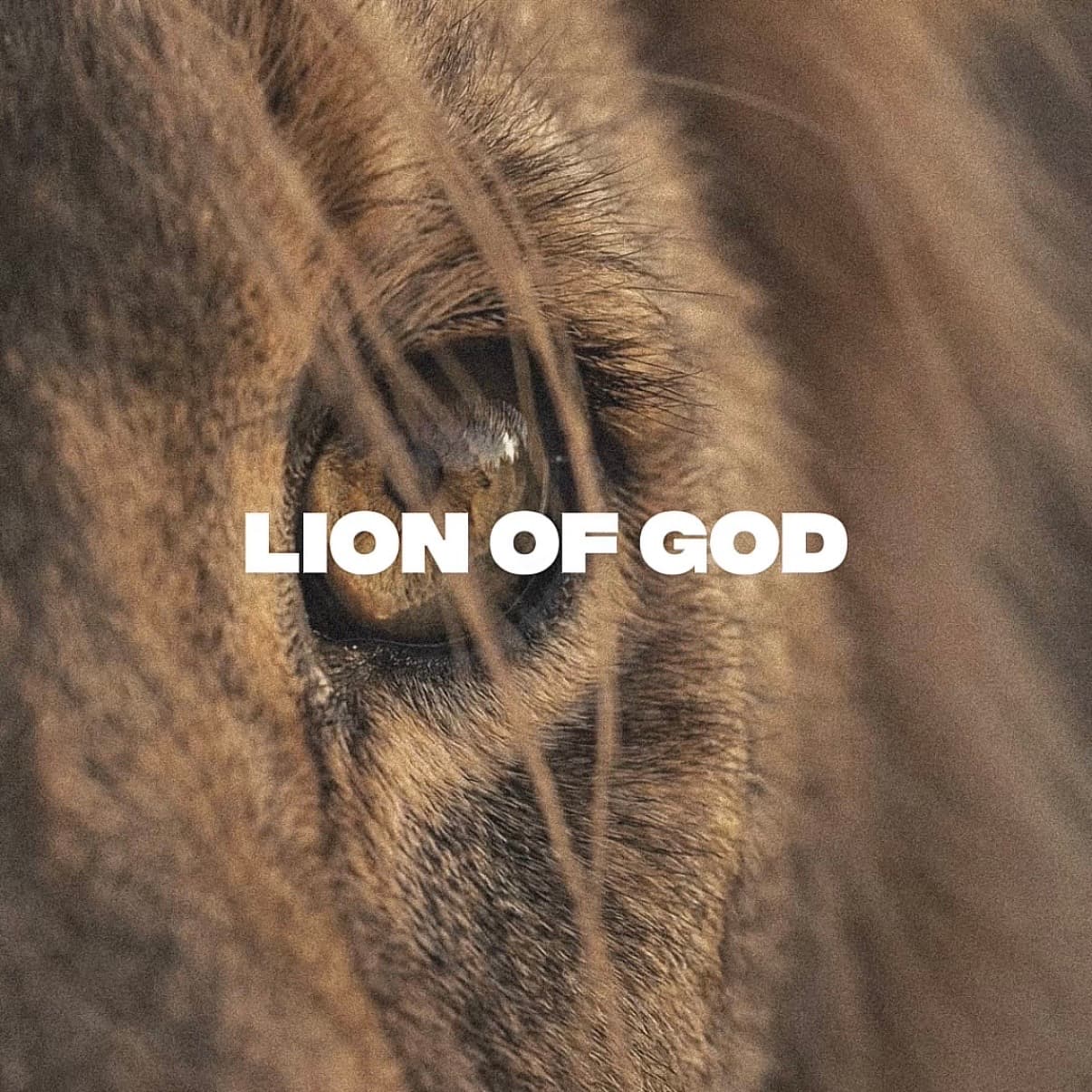 lion of god